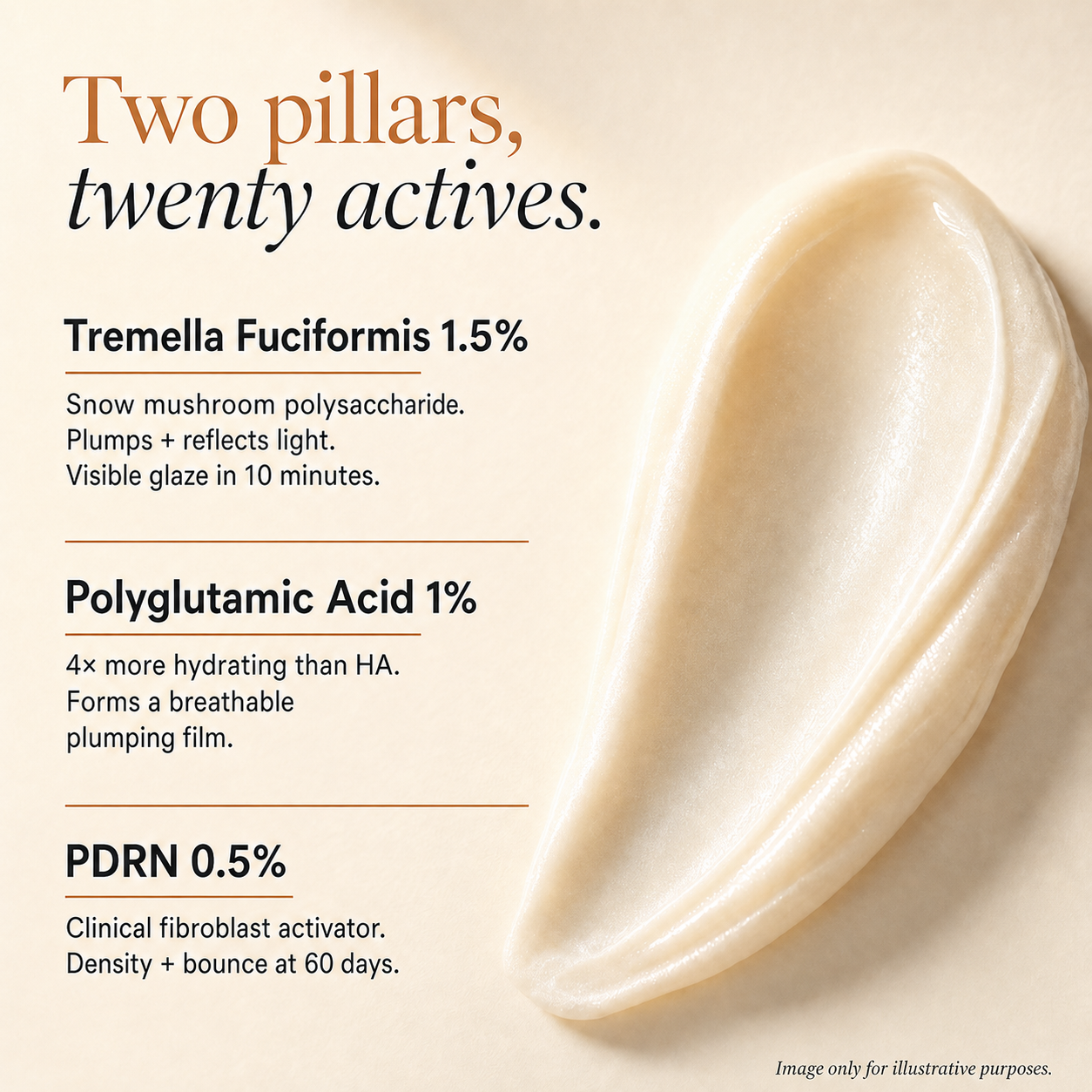 The GlazeCream-The PolypeptideCream